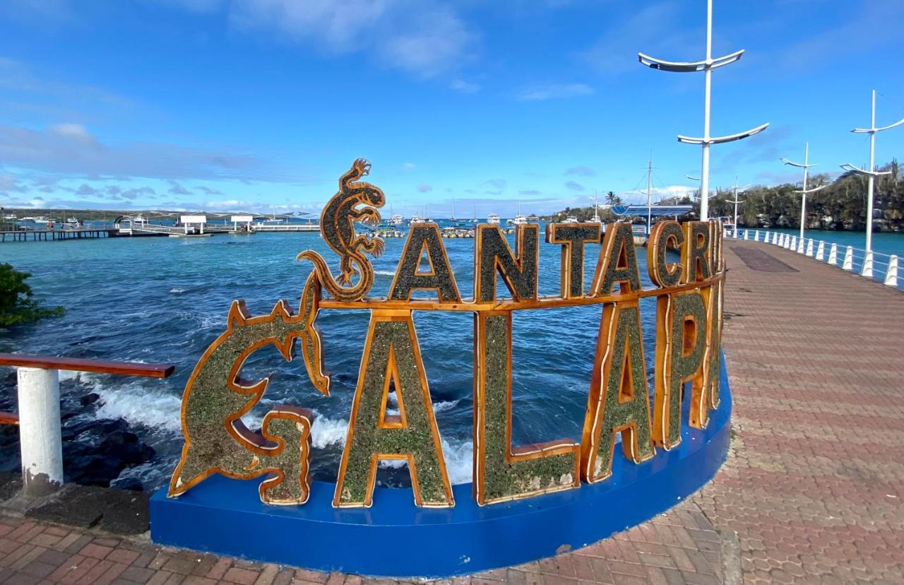 Torre Mar Galapagos Boutique Suites Puerto Ayora  Eksteriør billede